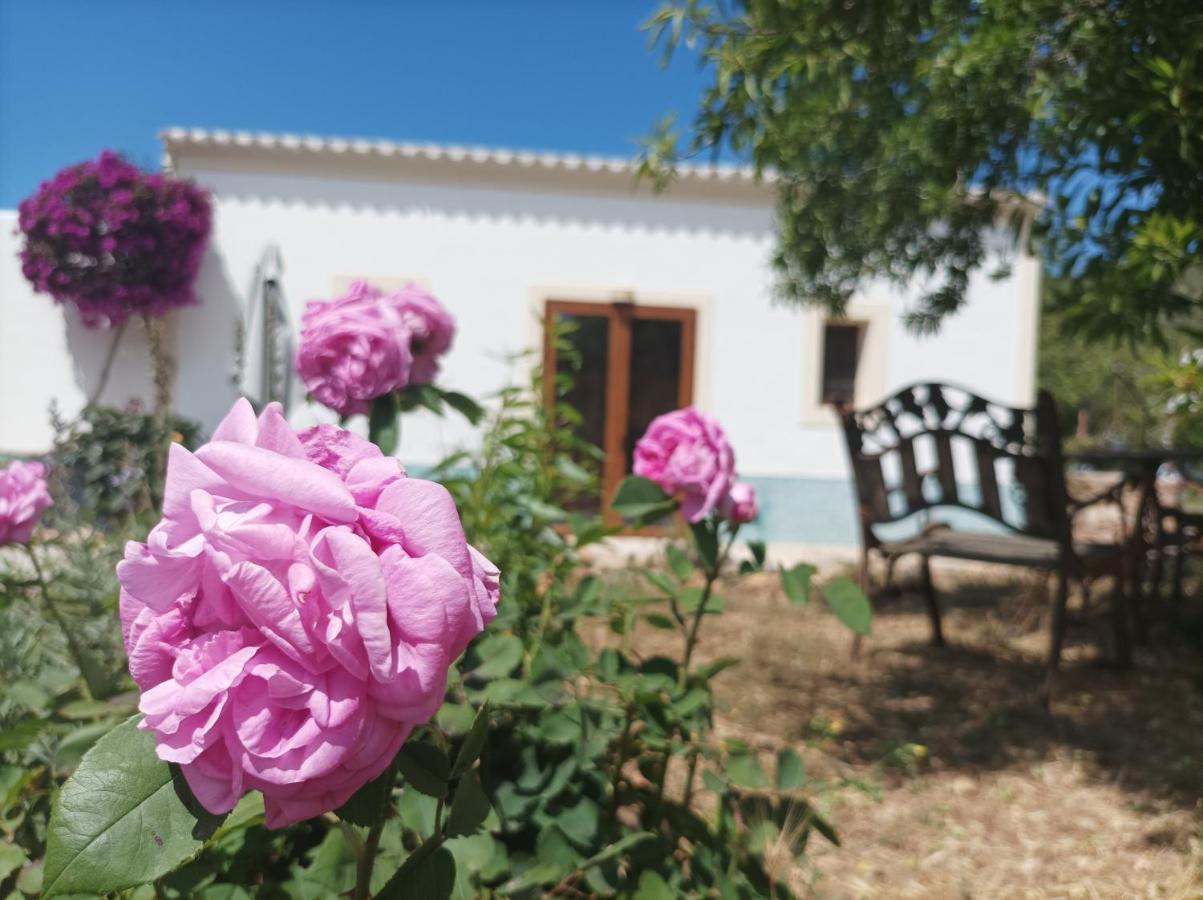 Can Pep Pardal Sant Miquel de Balansat Dış mekan fotoğraf