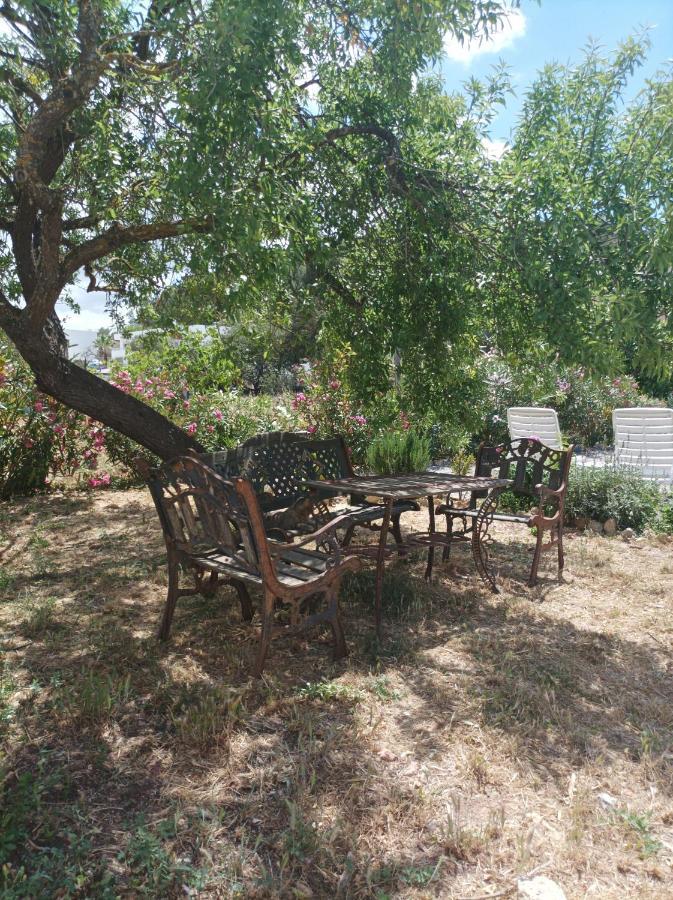 Can Pep Pardal Sant Miquel de Balansat Dış mekan fotoğraf