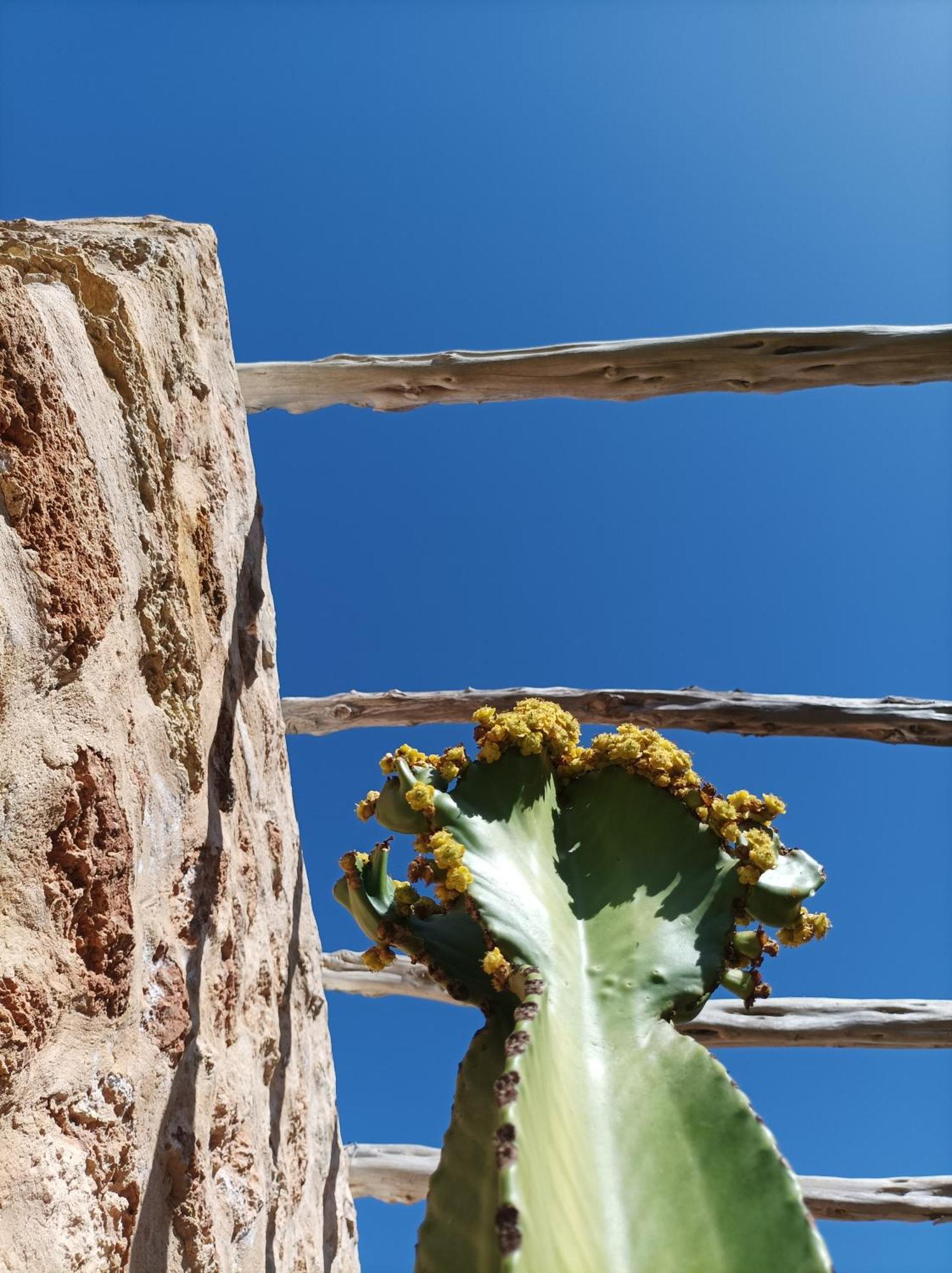 Can Pep Pardal Sant Miquel de Balansat Dış mekan fotoğraf